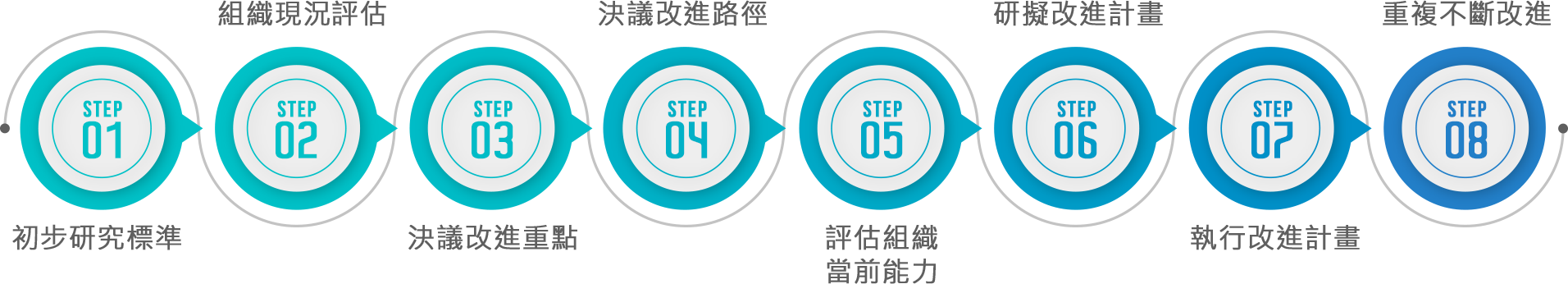 Step1：初步研究標準。Step1：組織現況評估。Step3：決議改進重點。 Step4：決議改進路徑。 Step5：評估組織當前能力。Step6：研擬改進計畫。Step7：執行改進計畫。Step8：重複不斷改進。